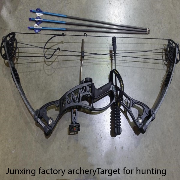 Junxing factory archeryTarget for hunting